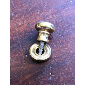Small ½” Victorian style brass mushroom knob with backplate - Brass